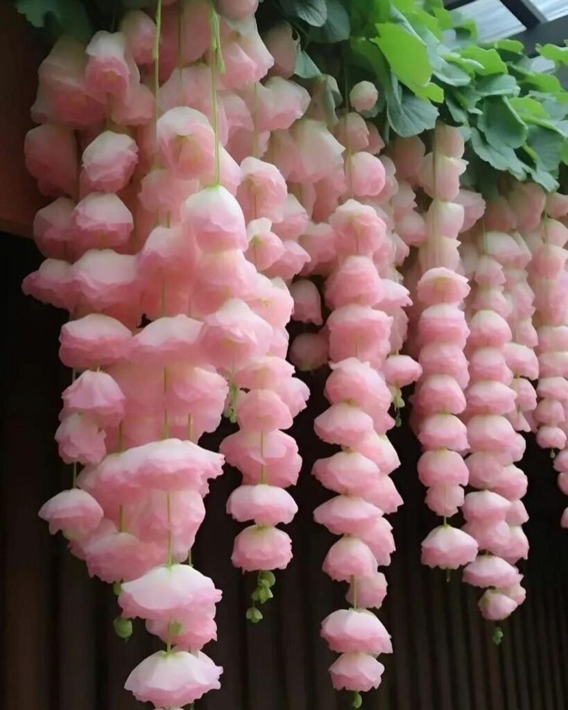 Weeping Begonia Care Guide: Discovering Its Enchanting World